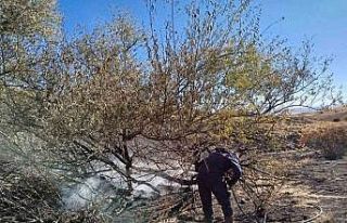 Arguvan Dolaylı Mahallesi’nde anız yangını