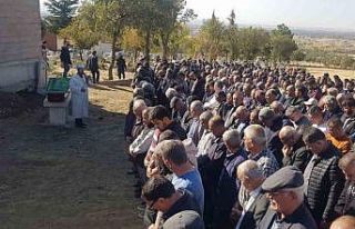 Arı sokan şahıs hayatını kaybetti