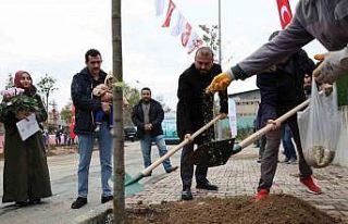 Arnavutköy’de doğan her çocuk için bir ağaç...