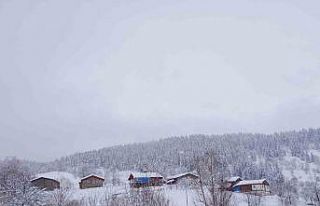 Artvin’de kar kalınlığının 1 metreyi bulduğu...
