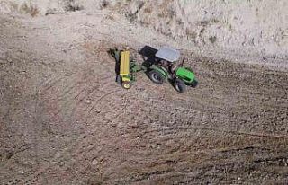 Ata tohumları Mezopotamya’nın verimli topraklarıyla...