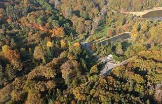 Atatürk Arboretumu’ndaki kartpostallık sonbahar...