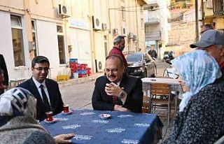 Aydın Valisi Canbolat, Yenipazar’da incelemelerde...