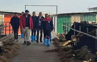 Aydın’da AB’ye ihracat onaylı çiftliklerde...