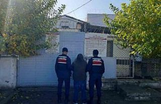 Aydın’da bir günde 49 aranan şahıs yakalandı