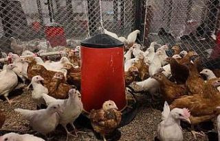 Ayhan Şahenk Tarımsal Araştırmalar Uygulama ve...