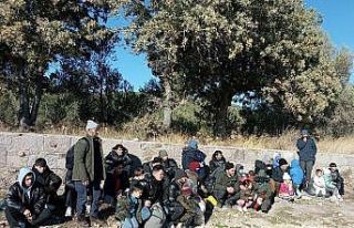 Ayvacık’ta 71 kaçak göçmen yakalandı
