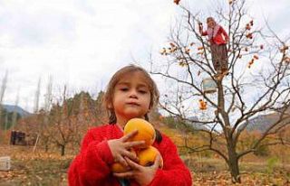 Bahçede 25, markette 80 lira