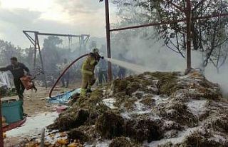 Bahçedeki samanlar alev alev yandı