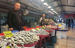Balık tezgahlarında palamut yerini hamsi, istavrit...