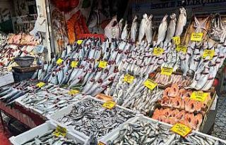 Balık tezgahlarında palamut yerini hamsi ve çinekop...