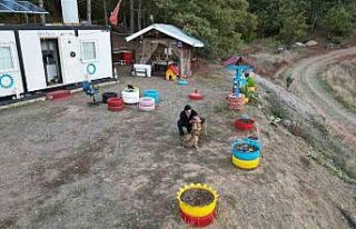 Balıkçı ile köpeklerin sıra dışı arkadaşlığı