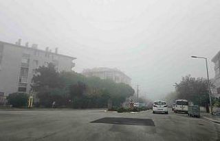 Bandırma’da deniz ve kara taşımacılığında...