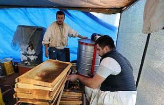 Başka illerden arıcılar gelmeyip kovan sayısı...