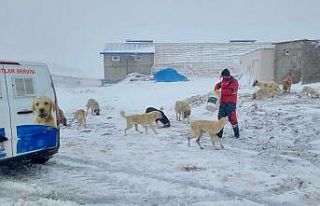Başkan Çolakbayrakdar: “Her şartta vatandaşımızın...