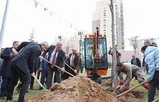 Başkan Palancıoğlu’nun yeşil projesi: “Melikgazi’de...