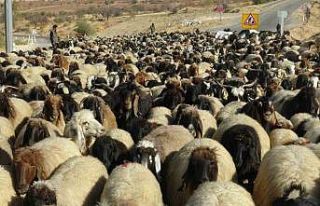 Batman’da göçerlerin zorlu dönüş yolculuğu