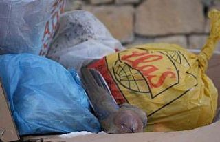 Bayburt Bayburt olalı böyle kar görmedi: Kuşlar...