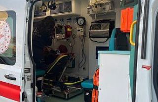 Besni’de iki otomobil çarpıştı: 1 yaralı