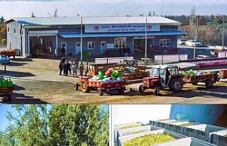 Beyağaç Belediyesinin yağ fabrikası zeytincilerin...