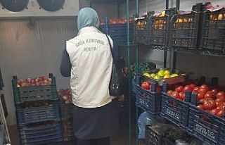 Beyşehir’de gıda dedektifleri sahada mesaide