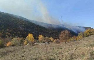 Bilecik’te orman yangınını söndürme çalışması...