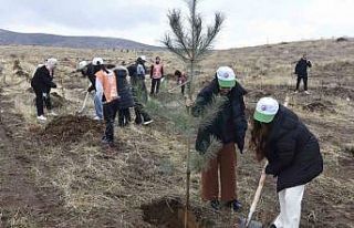 Bitlis’te bin adet fidan dikildi