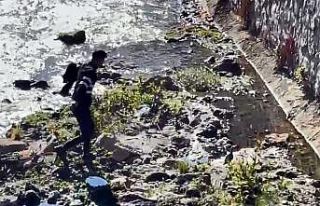 Bitlis’te dereye düşen kekliği vatandaşlar kurtardı