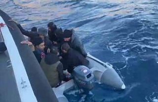 Bodrum’da 9 düzensiz göçmen yakalandı