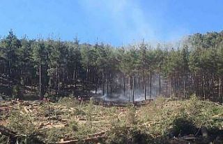 Burdur’da kesim sahasındaki orman yangınında...