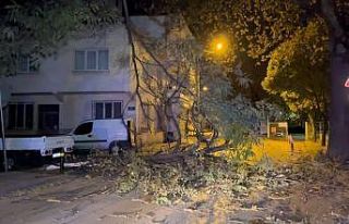 Bursa Büyükşehir Belediyesi lodosa karşı uyardı