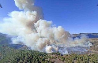 Bursa’da orman yangını: Havadan ve karadan müdahale...