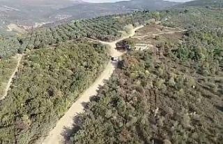 Bursa’da zeytin hırsızlarına dronlu denetim