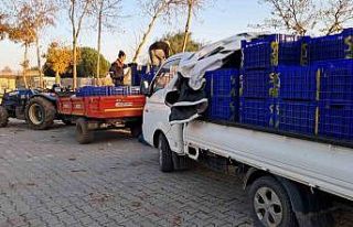 Bursa’da zeytin üreticilerinin Tarım Kredi çilesi