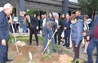 BUÜ’de ağaçlandırma çalışmaları devam ediyor