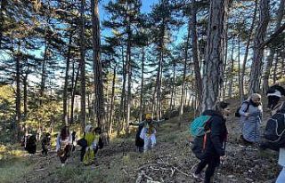 Çamlıca Yaylası’nda doğanın tadını çıkardılar