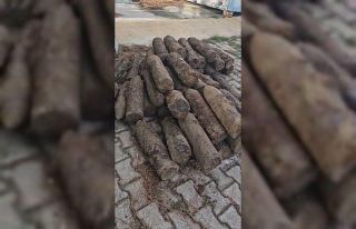 Çanakkale Savaşları’na ait olduğu değerlendirilen...