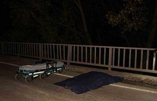 Çanakkale’deki kazada yayanın ölümüne neden...