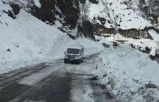 Çığ nedeniyle kapanan Artvin-Macahel yolu ulaşıma...