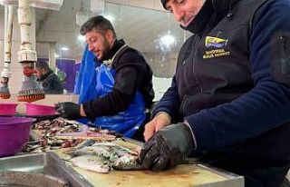 Çinekop ve hamsi tezgahlarda: Palamuda veda zamanı