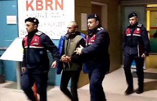 Çobanı tüfekle vuran şüpheli tutuklandı