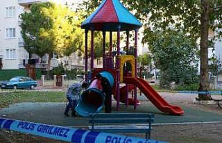 Çocuk parkında dehşet saçtılar: 2 çocuk saçma...