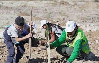 Cumhuriyet tarihinin en büyük maden rehabilitasyonu:...