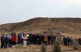 Daha yeşil bir Oltu için 2 bin fidan toprakla buluştu