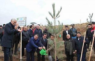 DATÜB Ahlat’ta ‘Hatıra Ormanı’ oluşturdu