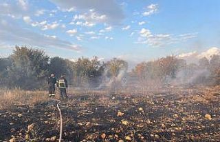 Defne’de zeytinlik alanda çıkan yangın söndürüldü