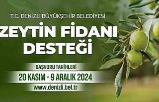Denizli Büyükşehir çiftçilere 50 bin zeytin fidanı...