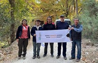 Denizli Traverten Jeoparkı Çalışma Grubu, Gökpınar...