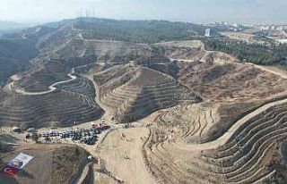 Denizli’de Milli Ağaçlandırma Gününde 5 bin...