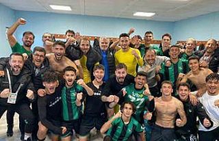 Denizlispor galibiyet hasretine deplasmanda son verdi